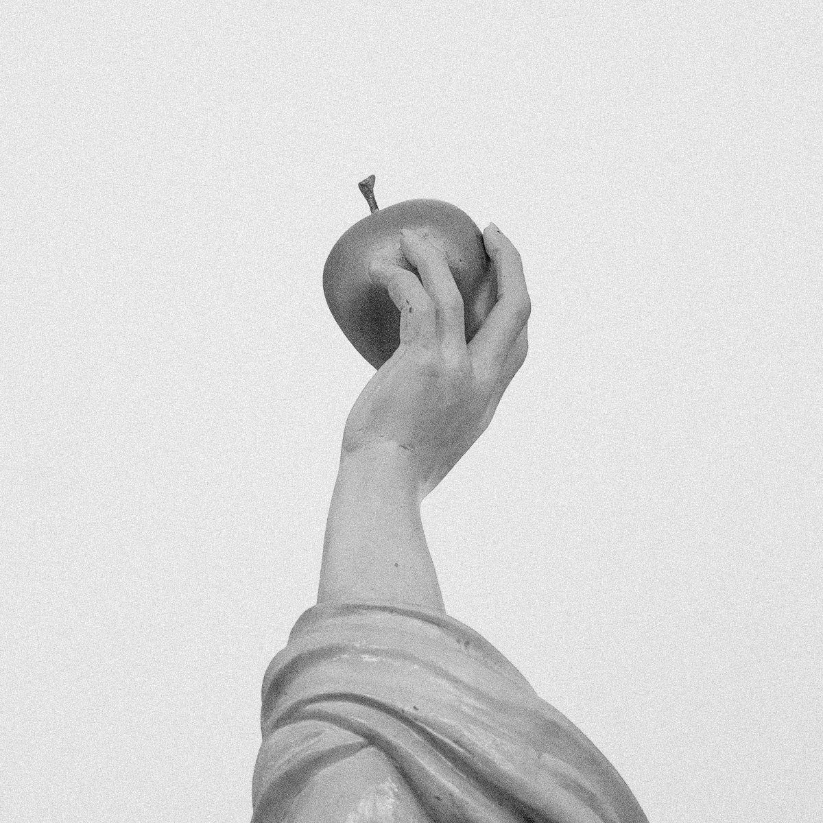 portfolio-08